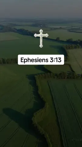 Ephesiens 3:13 «Aussi je vous demande de ne pas perdre courage à cause de mes tribulations pour vous: elles sont votre gloire.»#versetbiblique #tiktokchretien #verset #jesus 