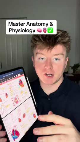 I go live everyday too! Hope to see you in there! Good luck in anatomy and physiology and on the HESI or TEAS! #anatomy #physiology #LearnOnTikTok #beginner #tips #study #StudyTips #Science #premed #nursing #nursingstudent #prenursing #fyp #college #kinesiology #nursingschool #medschool #medicalschool #hacks #pt #howtostudy #studytok #studymethod #studyguide #anatomyclass #anatomylesson #anatomyandphysiology #summerclass 