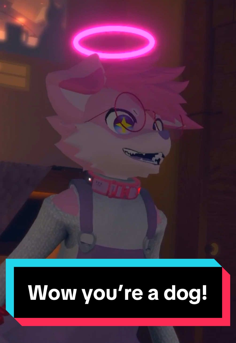 You’re a weird looking dog! :3 @🌸✨CoriTheCorgi✨🌸 🔜 DenFur | #vr #vrc #vrchat #vrchatmemes #vrchatcommunity #vrchatfunny #vrchatcomedy #vrchatcomedy #vrchatmoments #fyp #fypシ #foryou #foryoupage #furries #furriesoftiktok #furry #furryfandom #furrytiktok #furrycommunity #vrfurry #vrcfurry 