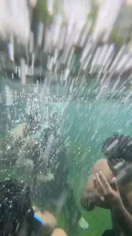 JAKARTA 2050 🐠🐟 #fyppppppppppppppppppppppp #fyp #fypシ゚ 