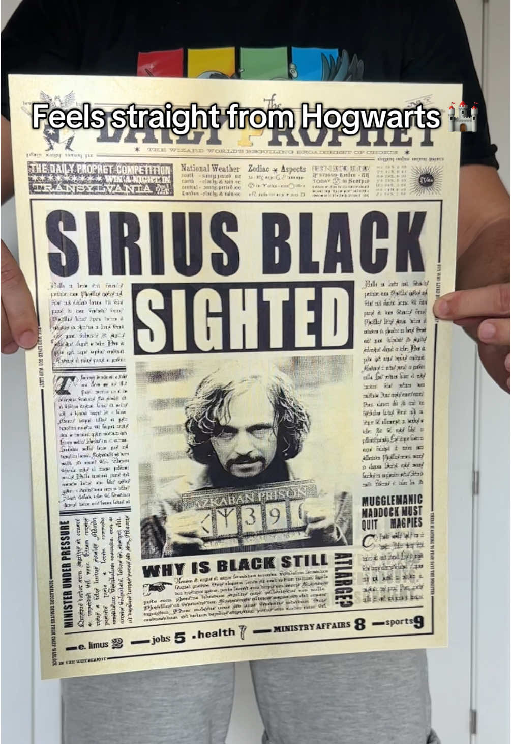 🤯 Every Potterhead needs this 3D lenticular poster 😍🪄🧙‍♂️ #harrypotter #hermionegranger #ronwesley #siriusblack 