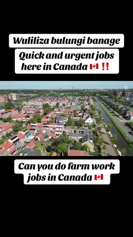 #creatorsearchinsights  #viral video   #✈✈🇨🇦🇨🇦🇨🇦🇺🇬🇨🇦🇨🇦🇨🇦 . #canada work permit   #urgent jobs.  #inbox me right now   #mrs catharine   #tiktokuganda.  #fyppppppppppppppppppppppppppppp 