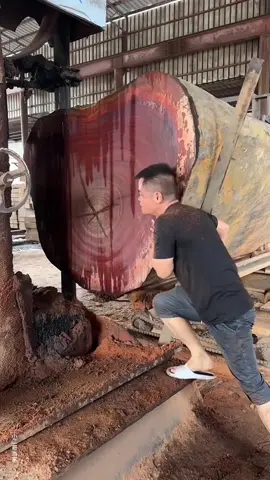 very expensive treewood 🌴 #crafts #cut 