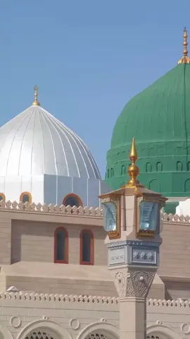 #صلی_اللہ_علیه_وآله_وسلم #❤️❤️❤️ #islamic_video #status #Madina 