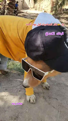 #تاك الصاحبك ➕#البتك #الشعب_الصيني_ماله_حل😂😂 #الشعب_الصيني_ماله_حل😂😂 #الهيبة #الكشاخ #البصرة #@جان تيك توك ⛎ 