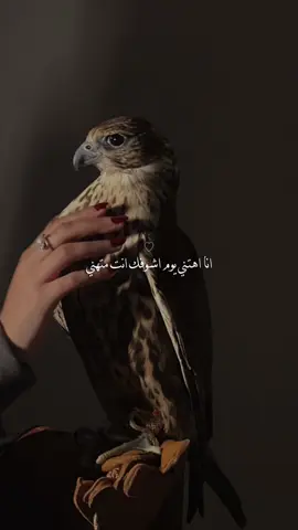 #CapCut #اكسبلورexplore #الشعب_الصيني_ماله_حل😂😂 #تصويري 