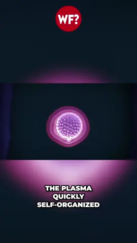 🎥 At The Why Files, we dig into the mysteries—separating 🧠 fact from 🤔 fiction while keeping you entertained! Check out TheWhyFiles.com to find more If you have tips and story ideas send the to @Wheres_Gino the producer of The Why Files ⚠️ Disclaimer: This content is for entertainment purposes only. It explores mysterious, speculative, and historical stories that are not presented as established facts. Viewer discretion is advised. #TheWhyFiles #HeckleFish #Mystery #FactOrFiction #StayCurious 