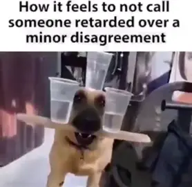 #meme #funny #x #twitter #twittermemes #dog #balancing #water #dogbalancingwater 