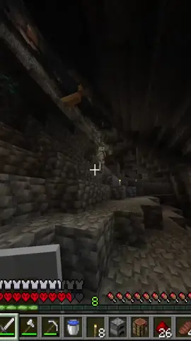 No digan que encontraron diamante... #Minecraft #minecraftmemes #minecraftfunny #minecraftmovie #mc #minecrafthardcore