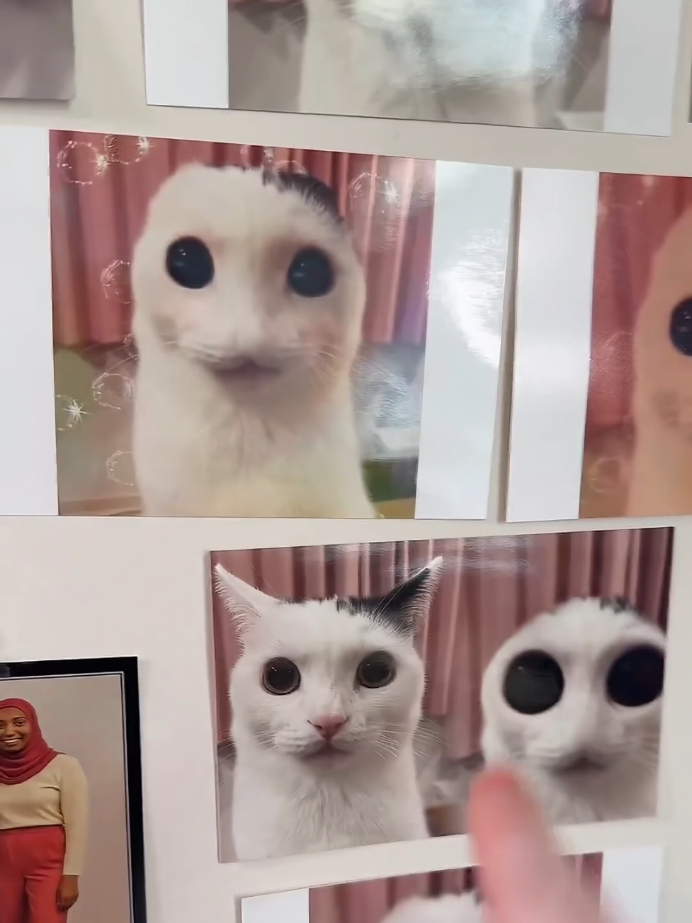 Awwwwww!!!!! #customwoodburning #customwoodburninglivs #ifeelsosigmaandawwwwww #cwbaww #cutecat #catsoftiktok #cutnessoverload #cats #aww #cwbpobox #fypシ #viralvideo #trending 