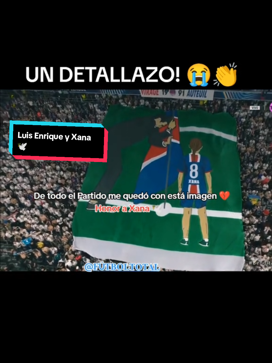 ¡UN DETALLAZO! 😭👏 La afición del PSG desplegó una bandera con el icónico festejo de Luis Enrique y Xana.  #fútbol #triste #final #trofeo #reir #feliz #reel #viral #corazon #amor #like  #honor 