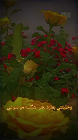 #متابعه_ولايك #ستوريات_حزينة #متابعه_ولايك #اكسبلورexplore #CapCut 