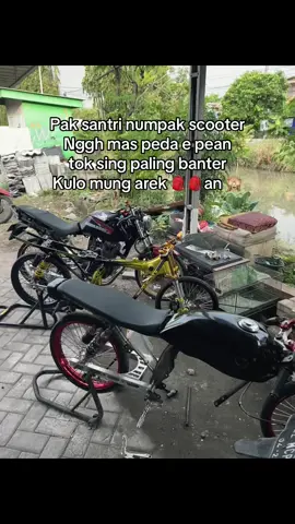 #fyp #fypage #fypシ゚ #xyzbca #herex #herexjatim #herex1200m #herextopspeed1200m #herex_ceria_1200m #foryou #fyppppppppppppppppppppppp #tigerajisaka⚡ #rtamspeed06 #rtamspeed #herexsidoarjo 