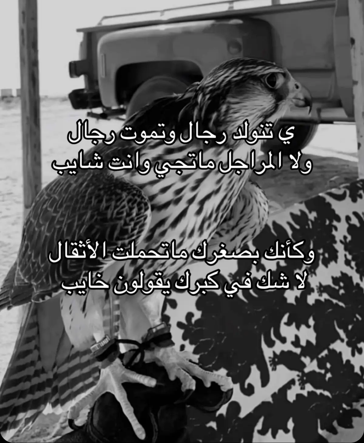 #اكسبلوررر #fyp #explore #fyyyyyyyyyyyyyyyy #اكسبلورexplore #الحربي 