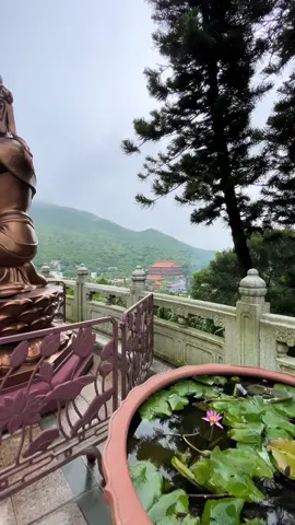 📍昂平 the most beautiful experience a two hour bus ride from downtown HK! #hongkong #buddha #nature
