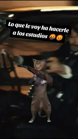 He vuelto, haaaaa #Meme #MemeCut #CapCut #estudios #españa🇪🇸 
