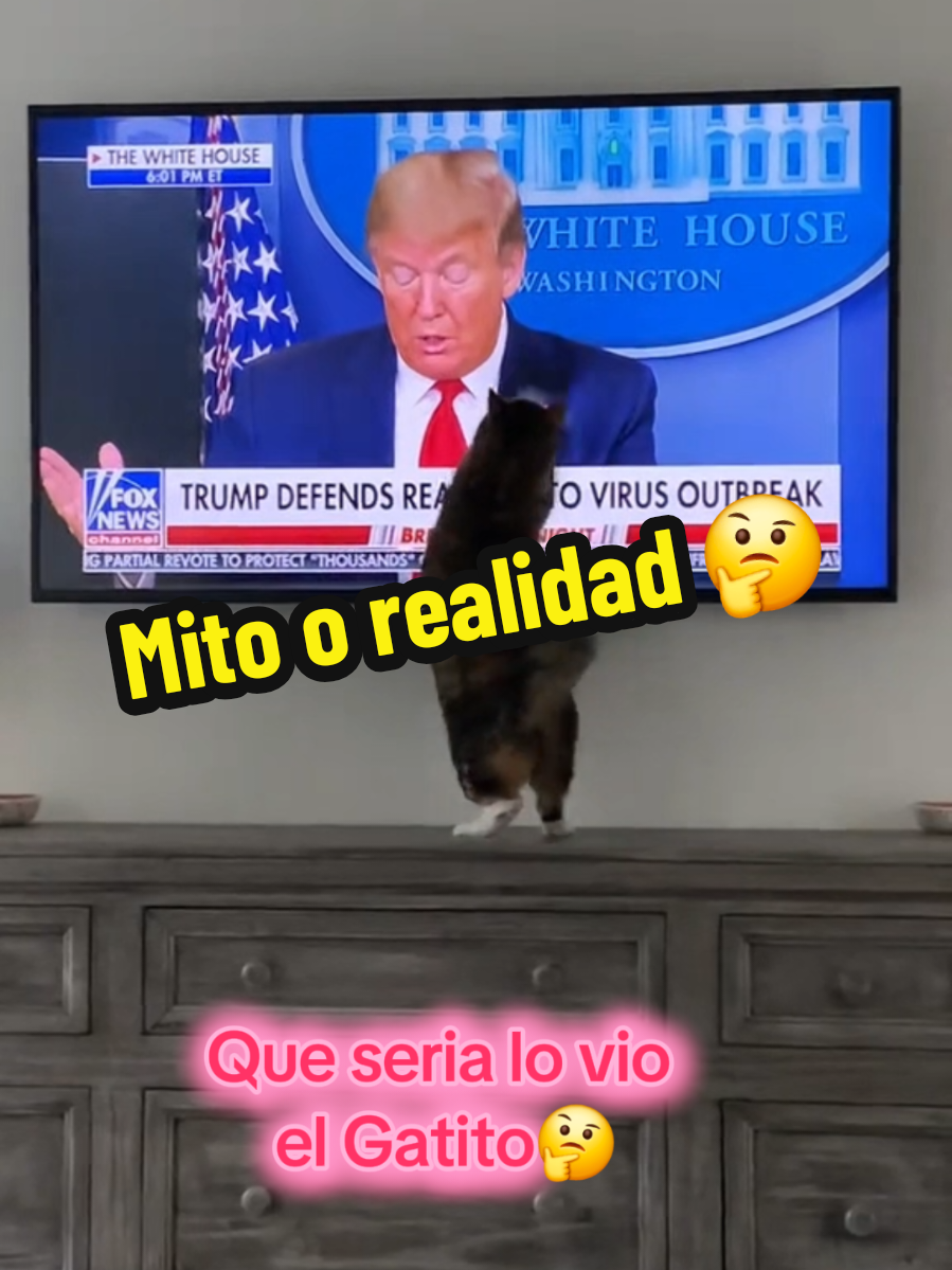 #tiktok?usa #estadosunidos🇺🇸 #paranomalactivity #tiktok?usa 