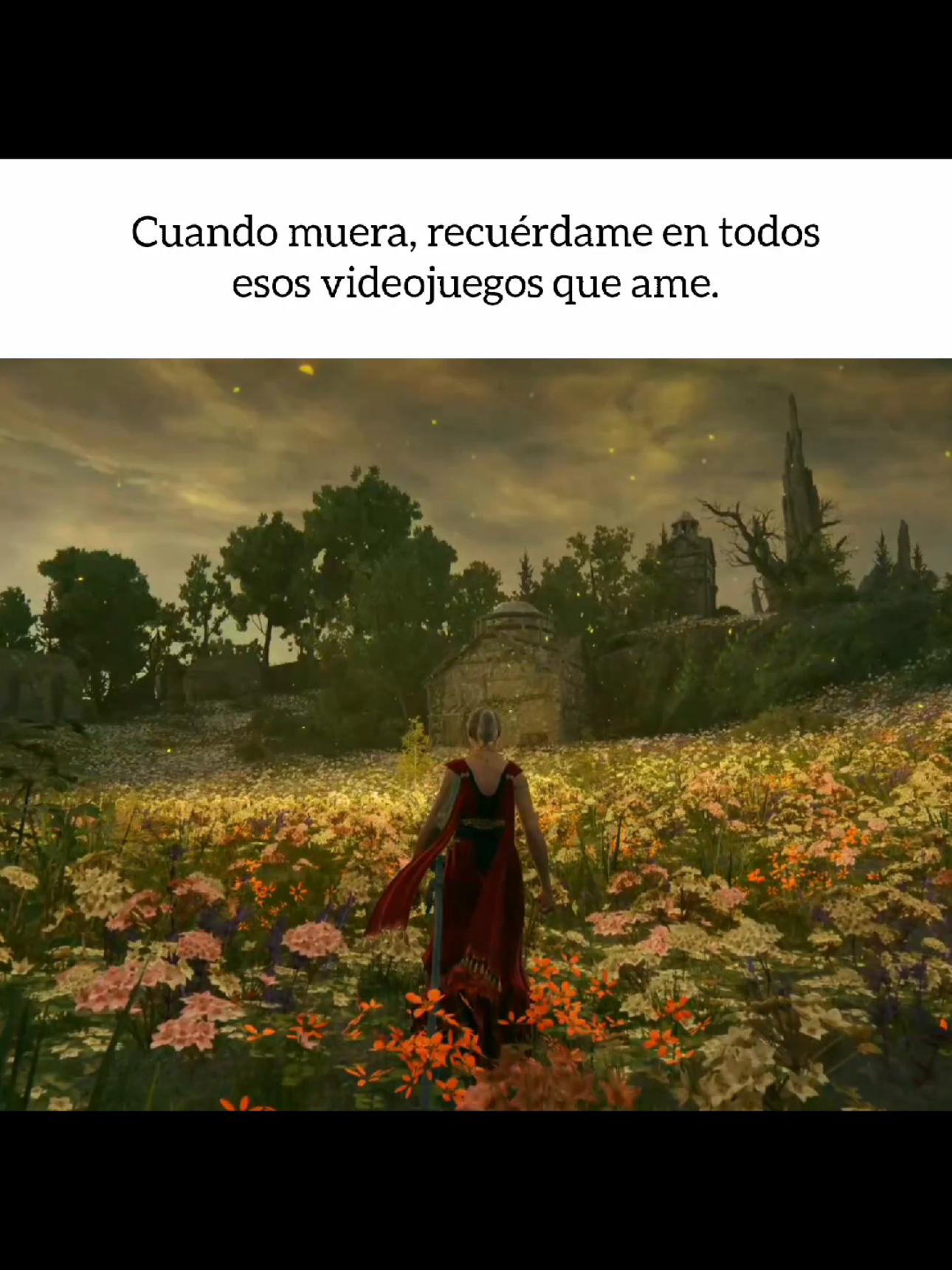 y asi una pequeña parte de mi, siempre vivira #fyp #videojuegos #videogames #GamingOnTikTok #recuerdame #recuerdos #memorias #videojuegos #mis #cosas #favoritas #videojuegos #vivire 