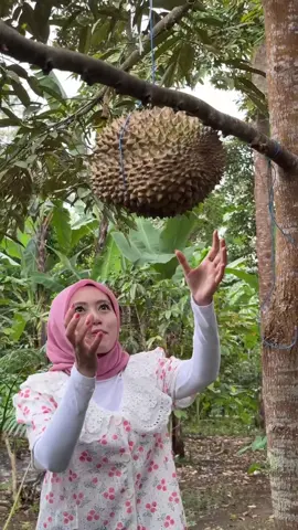 Petik berbagai macam Buah-buahan di kebun #fyp #foryou #petikbuah #buahbuahan #panenbuah 