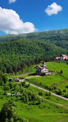 Welcome to the heart of Armenian nature — Dilijan 🍃 #Dilijan #DilijanArmenia #VisitArmenia #DiscoverArmenia #TravelArmenia  #ArmenianNature #CaucasusMountains #Дилижан #Հայաստան #դիլիջան 