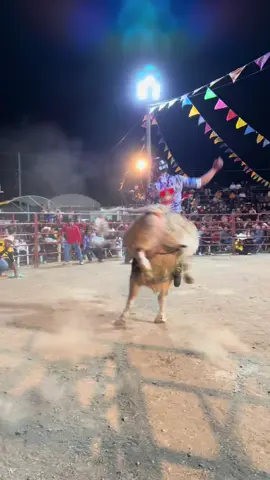 Que buena monta                                  #jaripeobaile #fiiiiiiiiiiiiiiiiiiiiiiiiiiiiiiiiiiiiip #torosbravos #jaripeo_ranchero 