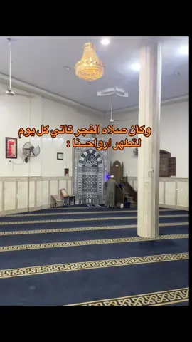 #🤎🤎🤎🤎🥹#everyone #