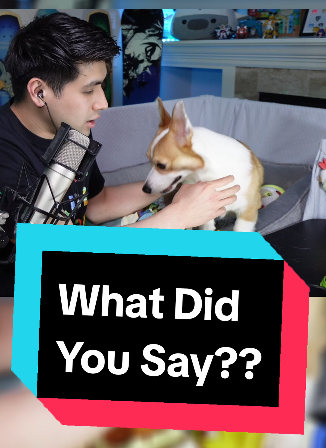 the way he canceled his shake #corgilife #twitchtok #streamersoftiktok #smallstreamer #corgisoftiktok #corgis #corgilove #corgination 