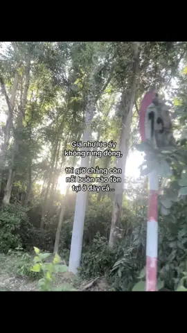 #tamtrang #tinhyeu #thichtham #rungdong #donphuong #viral #xuhuong #xyzbca #captamtrang #crush 