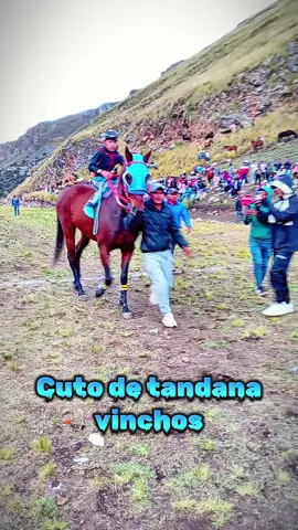 #paratiiiiiiiiiiiiiiiiiiiiiiiiiiiiiii  #huachocolpa  #carreradecaballos2025  #cutodetandana