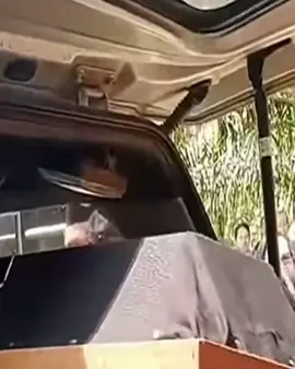 Seorang siswa kelas 2 SD di Indragiri Hulu, Riau, berinisial KB (8), meningg4l dunia usai diani4ya oleh lima kakak kelasnya. Orang tua korban mengatakan korban kerap dibvlly karena perbedaan suku dan agama. “Seminggu yang lalu dia sudah sering dibvlly. Dibilang suku ini, agama ini,” ujar sang ayah, Gimson Beni Butarbutar, Selasa (27/5/2025). Insiden bermula saat KB pulang lebih cepat dari sekolah pada Senin (19/5), dengan ban sepeda yang sudah dikempeskan kakak kelasnya. Esoknya ia kembali pulang cepat, mengaku ada acara sekolah. Gimson curiga, lalu bertanya kepada istrinya yang menjelaskan bahwa KB memang sedang sakit dan telah meminta izin ke sekolah. Pada malam harinya, kondisi KB memburuk, ia demam tinggi, bolak-balik ke kamar mandi, serta mengeluh sakit pinggang.  Kecurigaan Gimson semakin besar setelah melihat bagian bawah perut anaknya tampak membengkak. Ia lalu mendatangi teman KB bernama Rio, yang mengaku bahwa KB telah dipukvli lima kakak kelasnya. Gimson sempat melapor ke wali kelas, namun tidak ada tindakan lanjutan. Ia kemudian mendatangi sekolah dan bertemu dengan salah satu pelaku, DR, yang mengaku hanya men1nju korban dari belakang. Nama lain yang disebut adalah HM, namun orang tua HM membantah dan menyebut ada pelaku lain yang juga terlibat. Kondisi KB semakin kritis pada Minggu (25/5/2025), ia muntah lendir bercampur darah, sesak napas, dan kejang-kejang sebelum dirujuk ke RSUD Pematang Reba. Meski sempat mendapat perawatan, nyawanya tak tertolong. “Dalam perjalanan ke rumah sakit itu dia sudah kejang-kejang. Ngeri kondisinya,” ujar ayah korban, Gimson. Polisi telah mengidentifikasi lima terduga pelaku: HM (12), RK (13), MJ (11), DR (11), dan NN (13). Kapolres Inhu AKBP Fahrian Saleh Siregar menyatakan pihaknya kini masih menunggu hasil autopsi. repost: Fakta Indo