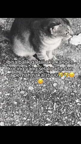 #katakata #sb?husshuss🧹🧹 #gskaskip📵🚫 #justkonten #foryoupage #fyppppp 