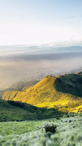 Mt.Merbabu 29 Mei 2025 #pendaki #pendakigunung #pendakiindonesia #merbabu #merbabumountain #3142mdpl #merbabuviaselo #fyp 