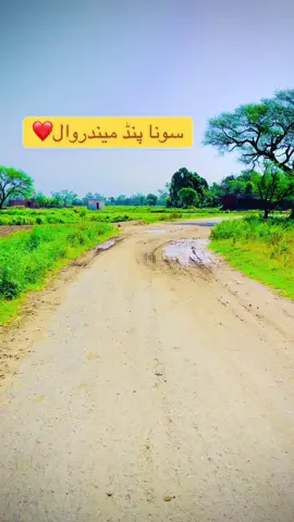سوناُپنڈ  ميندروال  ❤️ بارش ک بعد گلوں کا موسم#minderwal #sialkot #border #minderwalbrand #capcut #pindaale#sialkot #foryoupage 