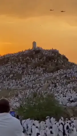 Amalan pada hari arafah...  #ustadzahhalimahalaydrus #catatanustadzahhalimahalaydrus #kajianustadzahhalimahalaydrus #ceramahustadzahhalimahalaydrus #sahabathijrah #hariarafah #islamicreminder #kajianislami #bismillahfyp 
