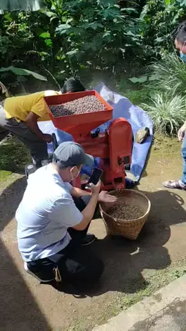 Mesin Kupas Kopi Kering #mesinkopikering #kupaskopi #mesinkupaskopi #mesinkopi #kopi #petanikopi #petanikopiindonesia #kebunkopi #kopiindonesia #kebunkopisulteng #kopiluwak #kopihitam #kopikenangan #kopigoodday #fyp #fyppppppppppppppppppppppp 
