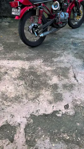 Inpo karbu sing lueh gedi makk #fyppppppppppppppppppppppp#rxking#rxkingindonesia#foryoupage#viralvideo#rxkkandangan#masukberanda#masukberanda#tiktokviraltrending#stelyrxkkandangan#masukberandafyp#trending