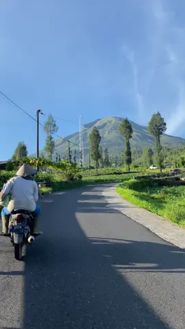 Cuaca secerah ini masak kamu milih dirumah 🥵 #healing #diengwonosobo #storyhealing 