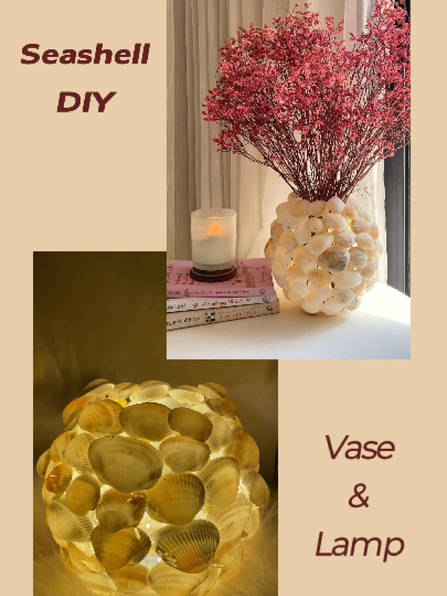 Đèn & bình hoa làm từ vỏ sò ❤️‍🔥 #LàmĐènVỏSò #BìnhHoaVỏSò #SeaShellDIY #TrangTríNhàCửa #BohoDecor #TựLàmTạiNhà #HandmadeDecor #CreativeCorner #diy #handmade #tiktok #fyb #xuhuong #decor #handmade #viralvideo