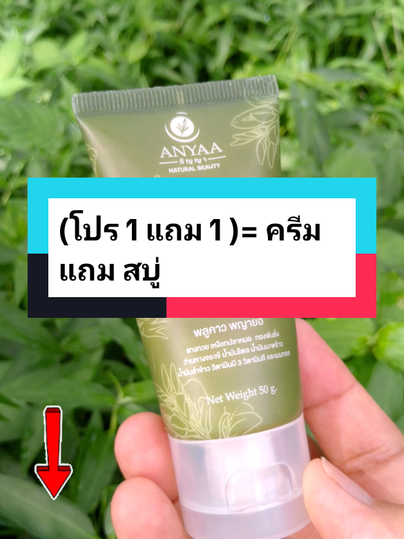 #(โปร 1 แถม 1 )= ครีม แถม สบู่ #สมุนไพร #สมุนไพรไทย #พญายอพลูคาว #พลูคาว #พลูคาวสกัดเข้มข้น #สมุนไพรอัญญาพญายอพลูคาว #สินค้าคุณภาพ #ดีบอกต่อ #tiktokshopครีเอเตอร์ 