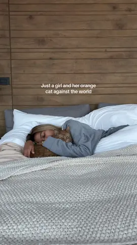 Orange cats rule