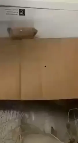 #maspersonas #musivafavorita #musica #paratodos #rock #linkinpark #soliders #rock #givenuplinkinpark👍 #linkinparksoldier #linkinparkfan #linkinparkfamily #linkinparkforever #linkinparksoldier #musivafavorita #gatitos #gatos #chesterbennington #chestermike #mikeshinoda #haganmeviral #massuscriptores 