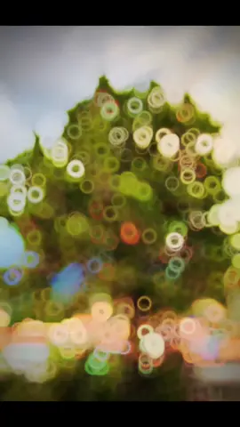 #viral trending#new video#show support#@Liaquat Afgani ⚜️🍷 #a aaqibmughal321#@Hą§An ĶhÄn #fypppp