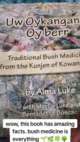 #kowanyamaplaceofmanywaters #fyp #bushmedicine 