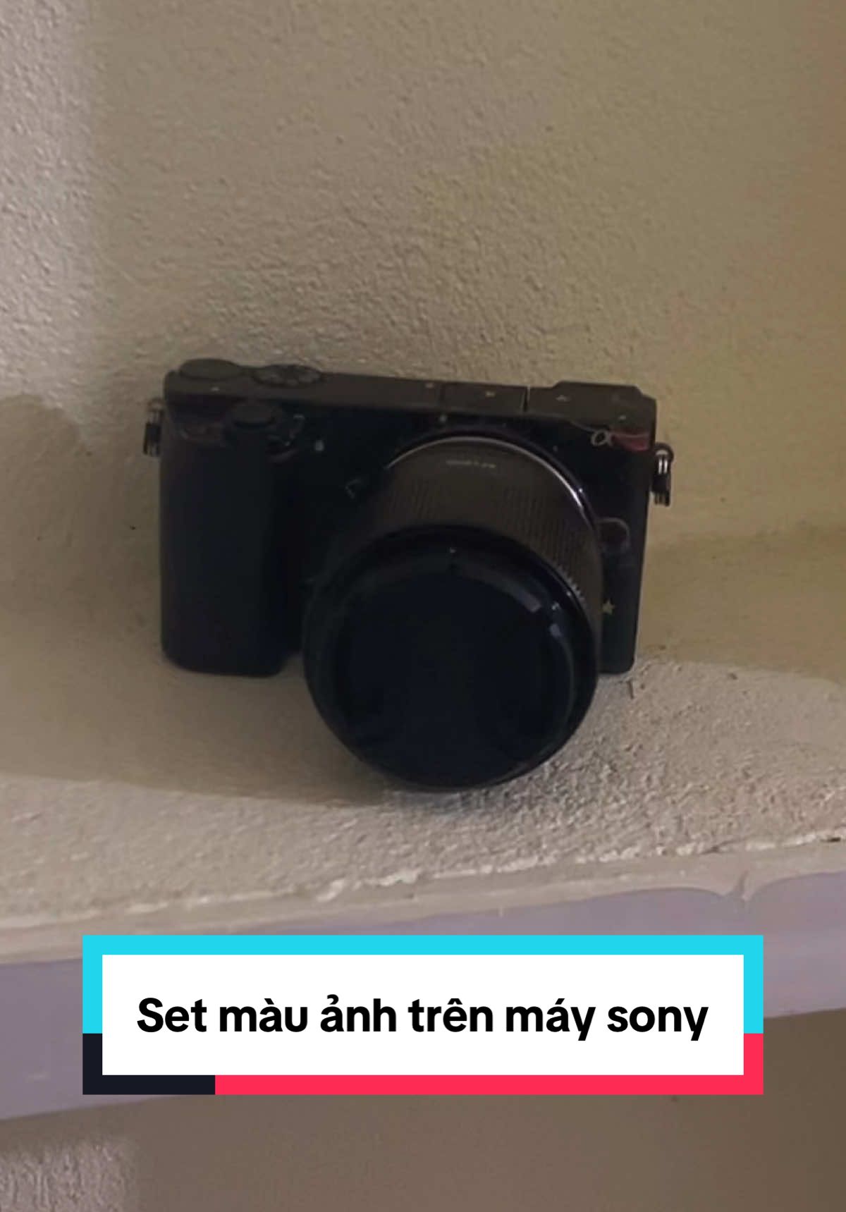 Cách chụp máy sony cho ra màu ảnh hồng hào,nịnh mắt #daonhat #xh #mayanhcu #mayanhsony #mayanh #sony #mayanhgiare #sonya6000 