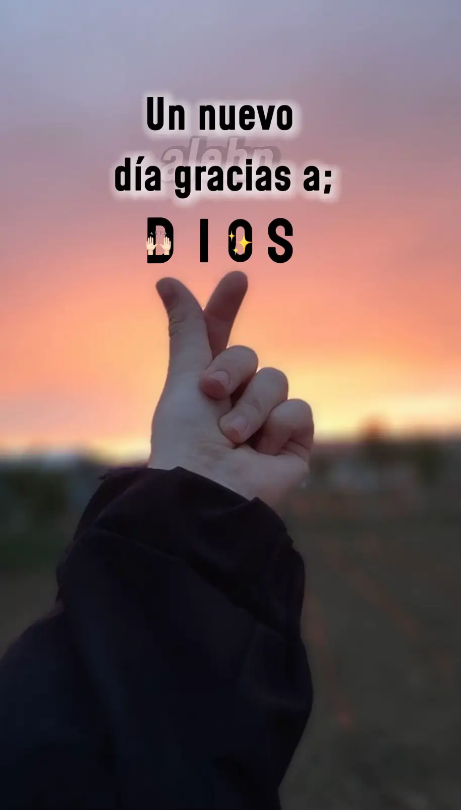 Agradeciendo nuevo día  #frasesdeldia #reflexiones #bendiciones🙏❤️ #buenosdias 