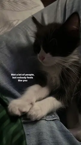 #lyrics 