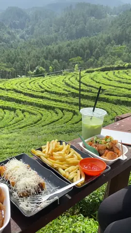 #banjarnegara #kebuntehkertosari 