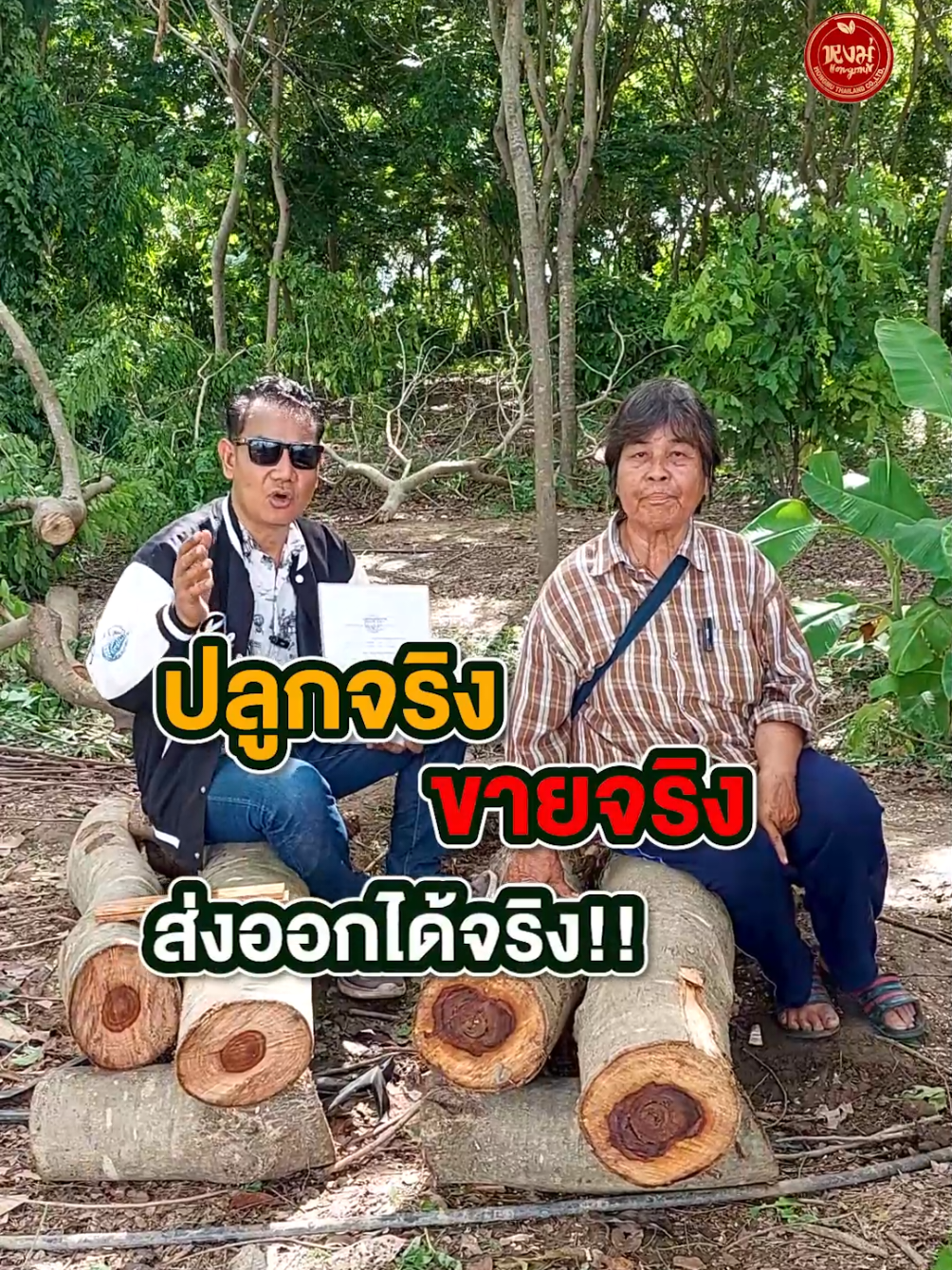 #ไม้ฮวงหัวลี่ #หงมู่ไทยแลนด์ #hongmu #huanghuali #หงมู่ #โครงการ1ไร่1ล้าน #ไม้ที่แพงที่สุดในตลาดจีน 