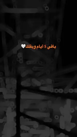 باقي 5 أيام🥹🫶🏻#foryou #explore #fyp #pov #الباب  