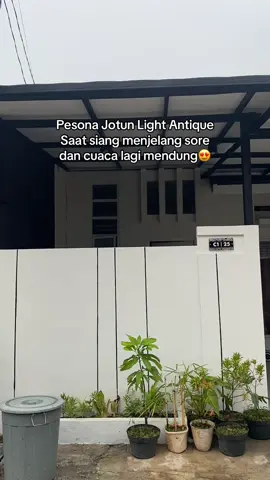 Walaupun jadi cat sejuta umat aku suka😍 #fyp #jotunlightantique 